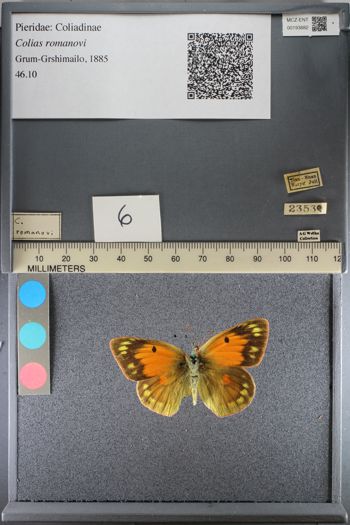 Media type: image;   Entomology 193882